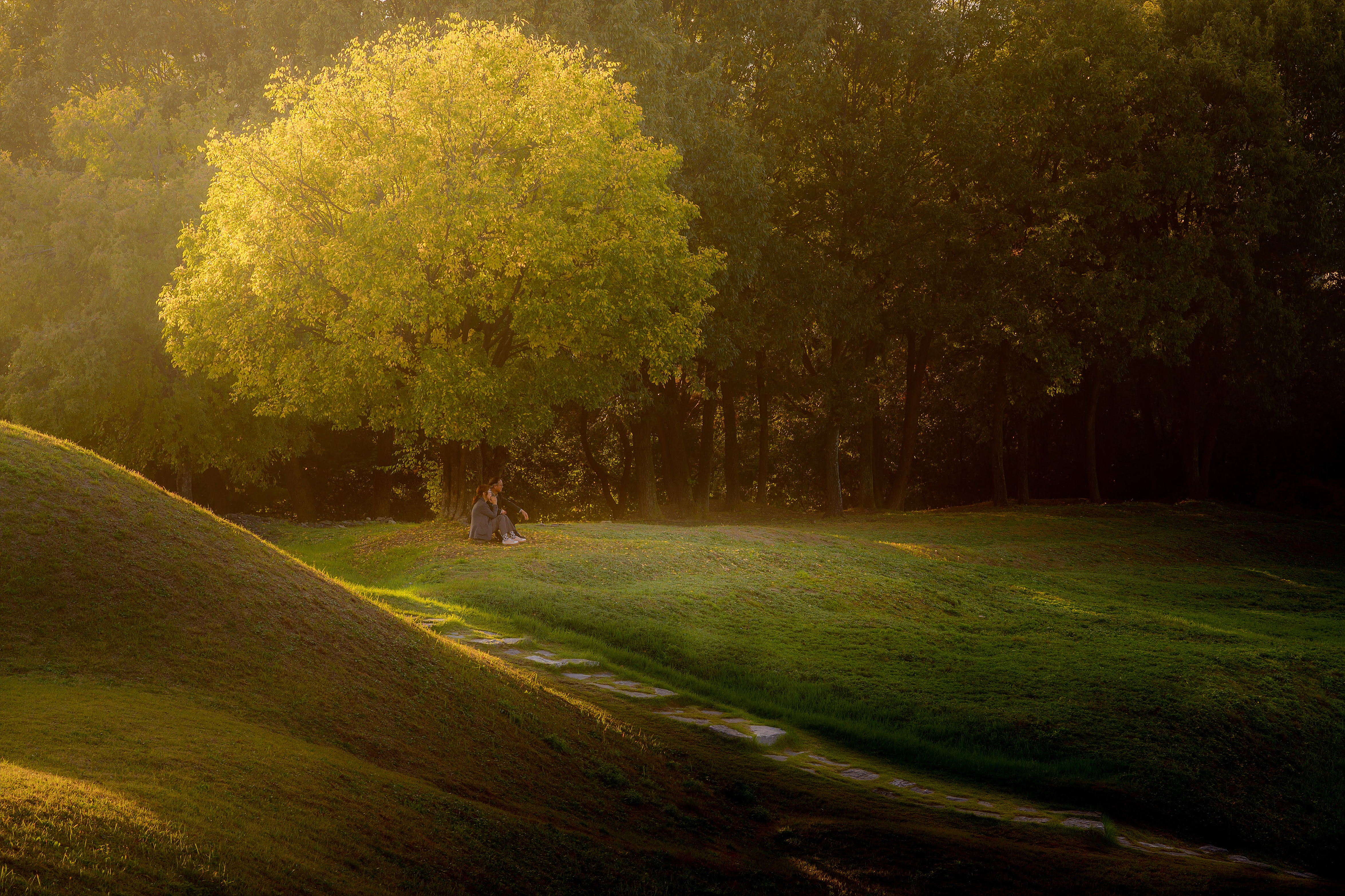 forest for rest / 허성민